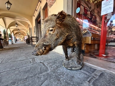 Centrum toskánského městečka Greve in Chianti